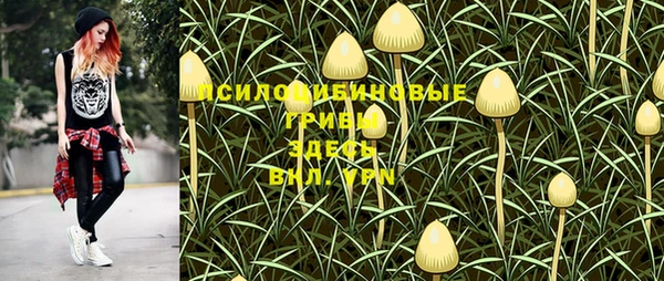 тгк Новокубанск