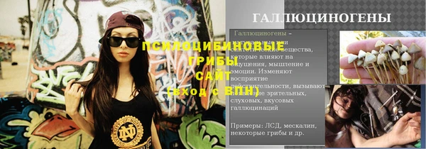 амф Новодвинск