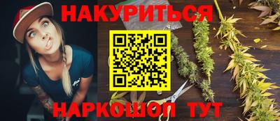 крисы Аргун