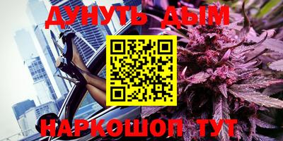 крисы Аргун