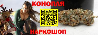 крисы Аргун