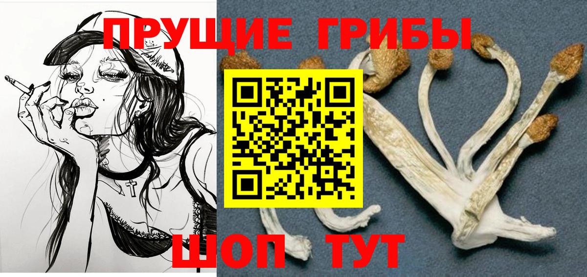 Касимов  где продают наркотики  Вход с VPN  Псилоцибиновые грибы ЛСД 